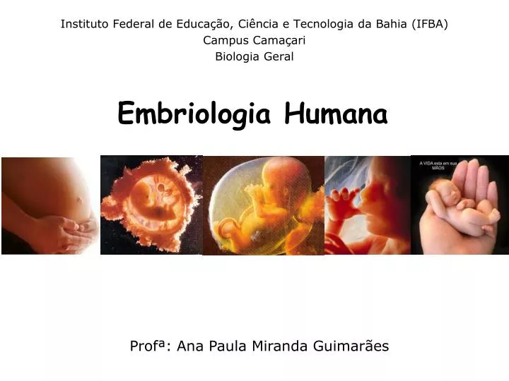embriologia humana n.