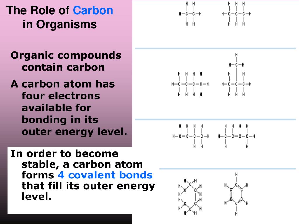 Ppt biomolecules powerpoint presentation free download id 4172556
