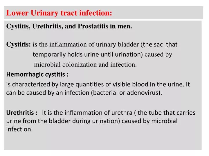Prostatit urethritis