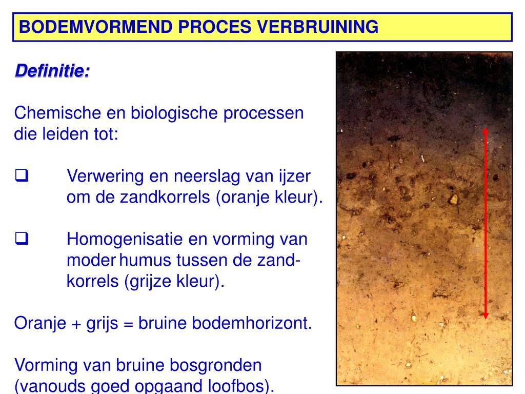 PPT - EXCURSIE BODEM EN LANDSCHAP OMGEVING WAGENINGEN GERT PEEK WUR