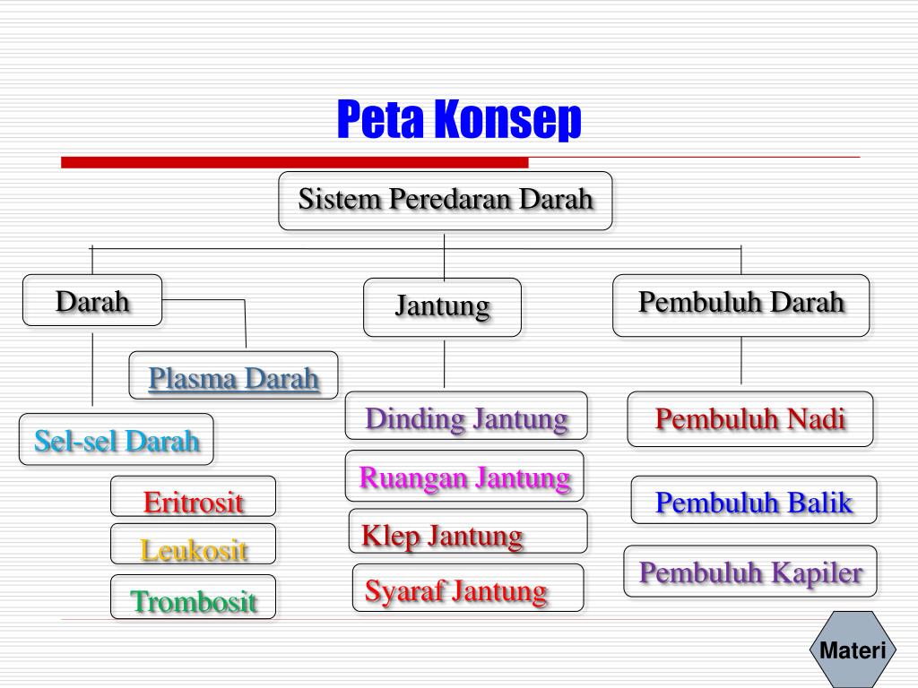  Peta  Konsep  Struktur Dan Fungsi Tumbuhan Berbagai Struktur