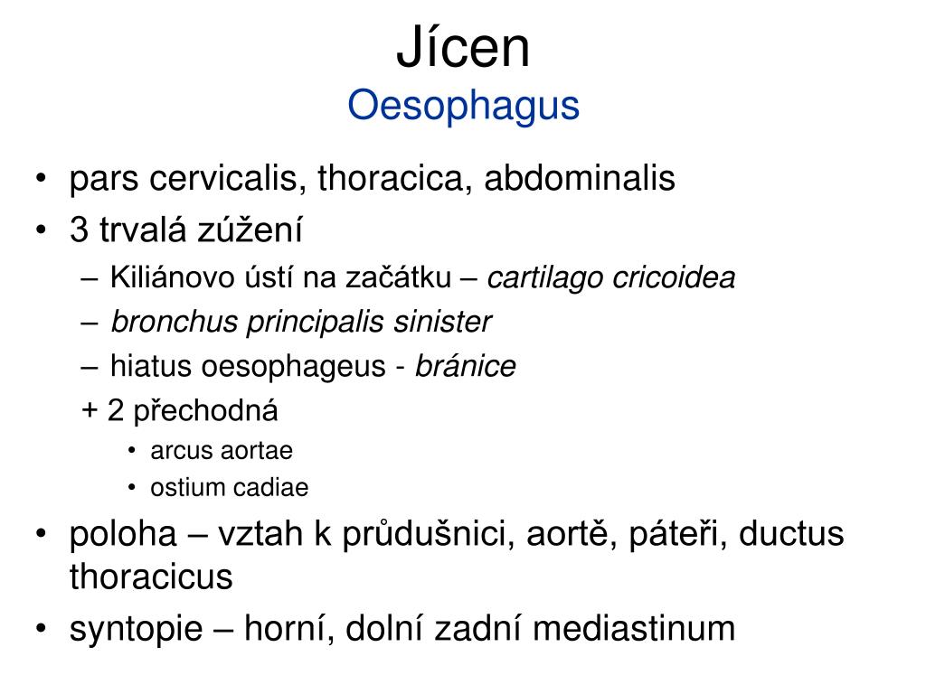 PPT - Jícen Oesophagus PowerPoint Presentation, free download - ID:4173879