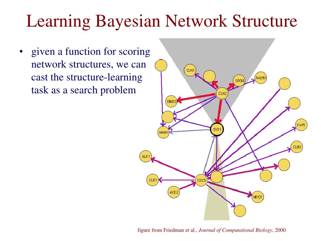 PPT - Learning Bayesian Networks for Cellular Networks PowerPoint