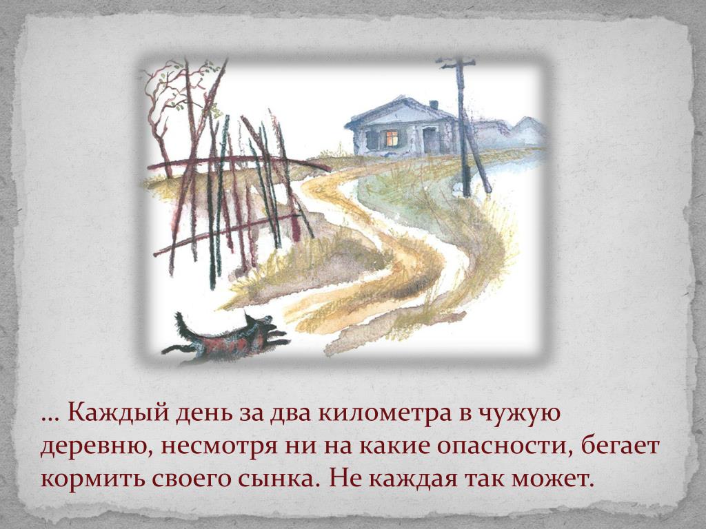 Рассказы про мальку читать. Иллюстрация к рассказу Белова малька.