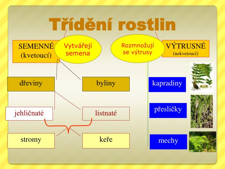PPT - VY_III/2_INOVACE_102_Třídění přírodnin PowerPoint Presentation ...