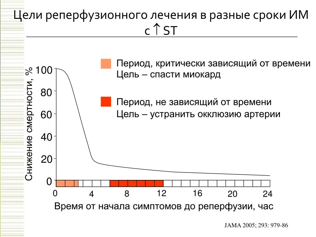 Реперфузионная карта образец