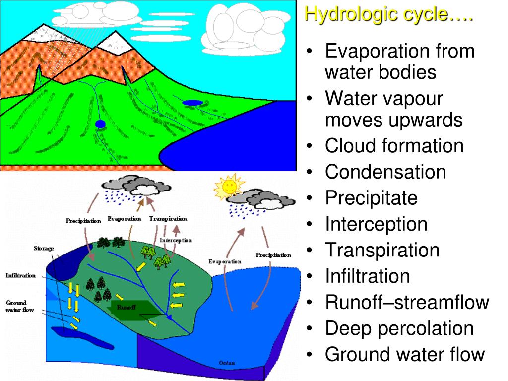 hydrological processes hydrological processes