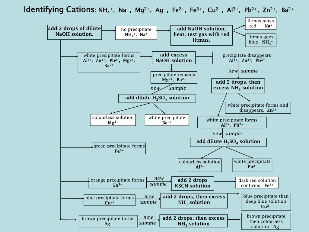 Flow Chart For Qualitative Analysis Of Cations