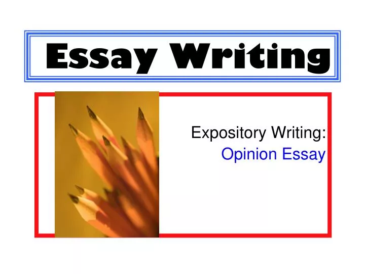 essay writing ppt