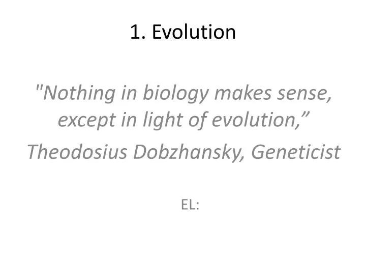 1 evolution n.