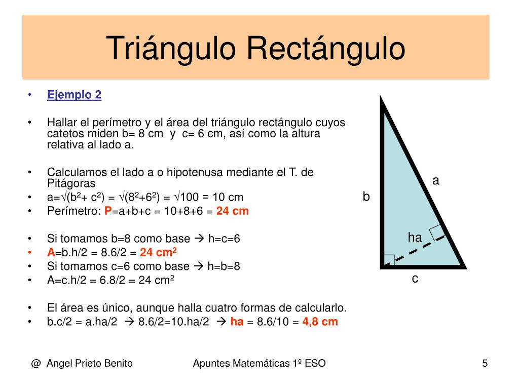 Area Y Perimetro De Un Triangulo Rectangulo Ejemplos Nuevo Ejemplo