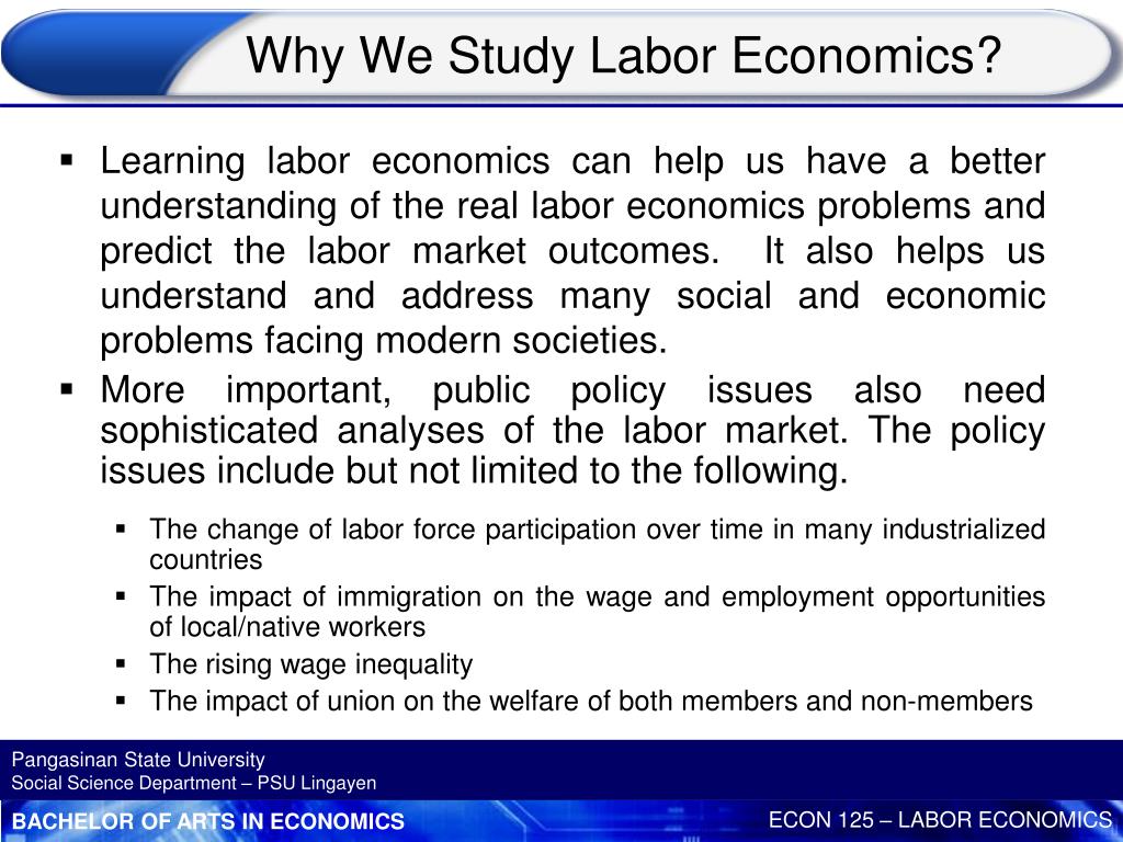 thesis labor economics