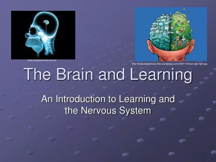PPT The Brain and Learning PowerPoint Presentation, free download