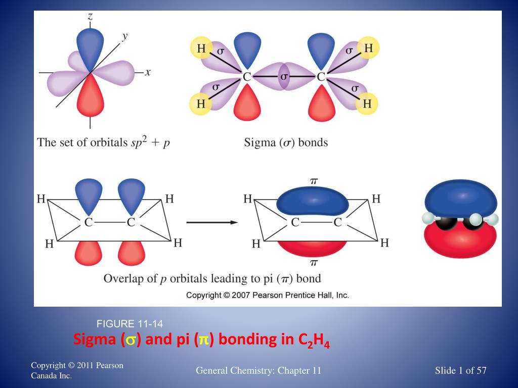 PPT - Sigma ( s ) and pi ( π ) bonding in C 2 H 4 PowerPoint ...