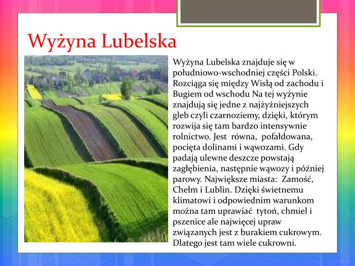 PPT - Podsumowanie działu Poznajemy krajobrazy wy ż yn. PowerPoint