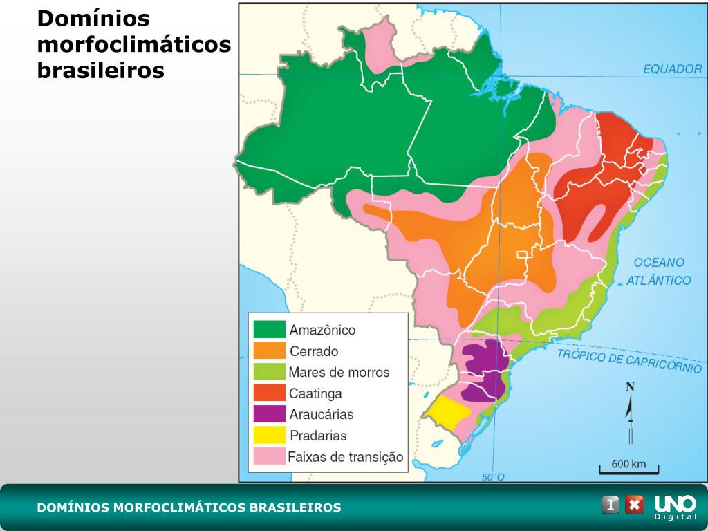 PPT - DOMÍNIOS MORFOCLIMÁTICOS BRASILEIROS PowerPoint Presentation ...