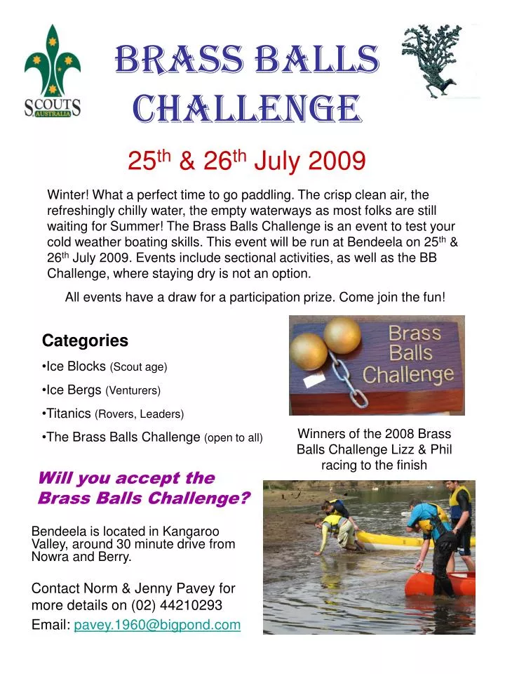 PPT Brass Balls Challenge PowerPoint Presentation, free download ID