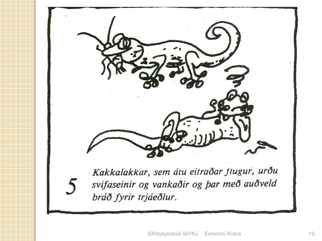 PPT - 5-1. Lífverur og umhverfi þeirra bls. 88-94. PowerPoint ...