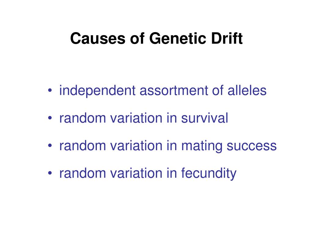 genetic drift short essay