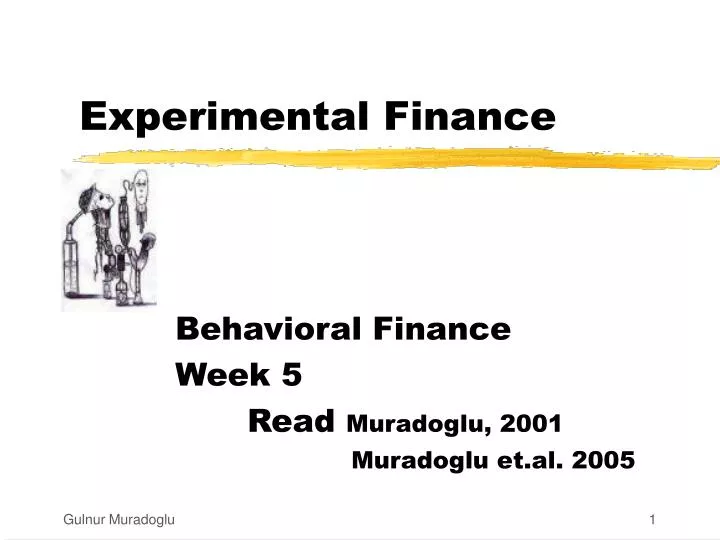 experimental finance meaning