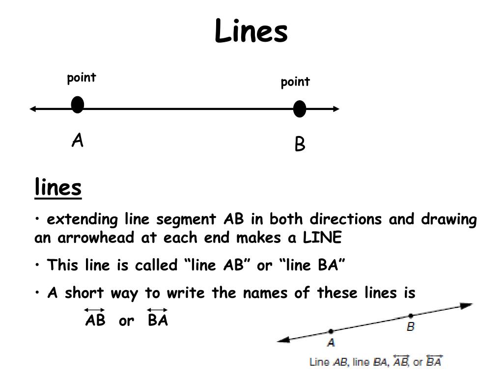 PPT - 288.28 Points, Line Segments, Lines and RaysOH MY! PowerPoint