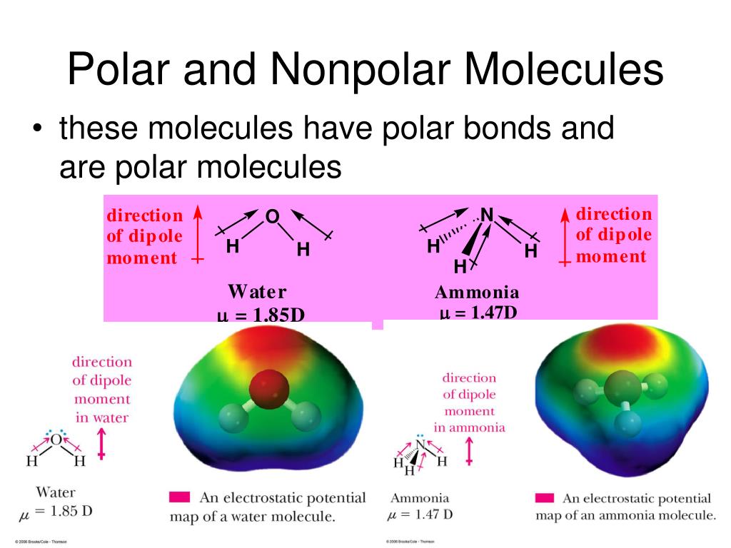Polar and Nonpolar Molecules.