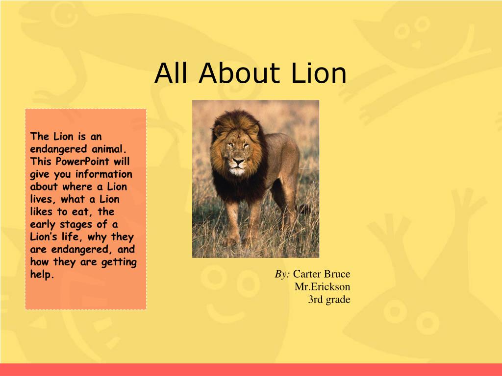 powerpoint presentation about lions