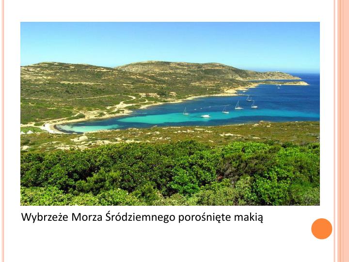 Strefa śródziemnomorska Zabytki PPT - KRAJOBRAZ ŚRÓDZIEMNOMORSKI PowerPoint Presentation - ID:4197124
