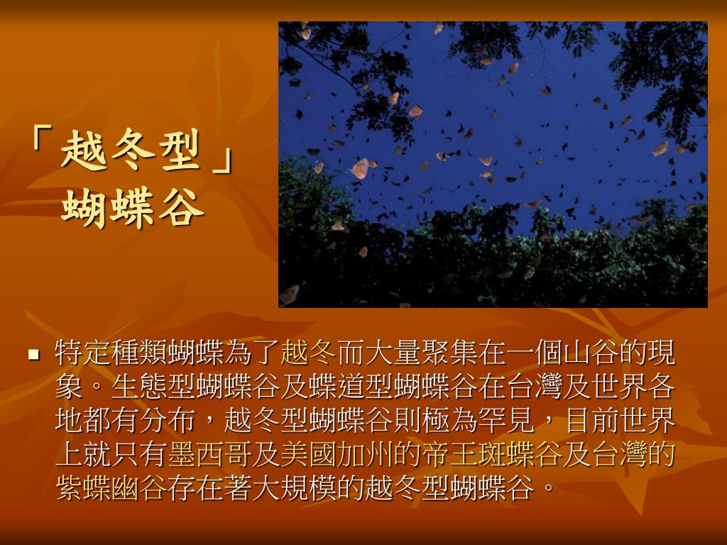 Ppt 台灣的蝴蝶powerpoint Presentation Free Download Id Ppt 台灣的蝴蝶powerpoint Presentation Free Download Id