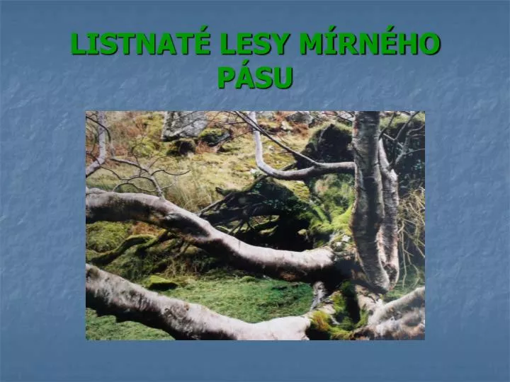 PPT - LISTNATÉ LESY MÍRNÉHO PÁSU PowerPoint Presentation, free download -  ID:4201131