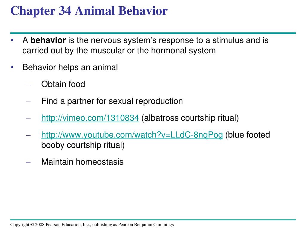 PPT - Chapter 34 Animal Behavior PowerPoint Presentation, free download -  ID:4201220