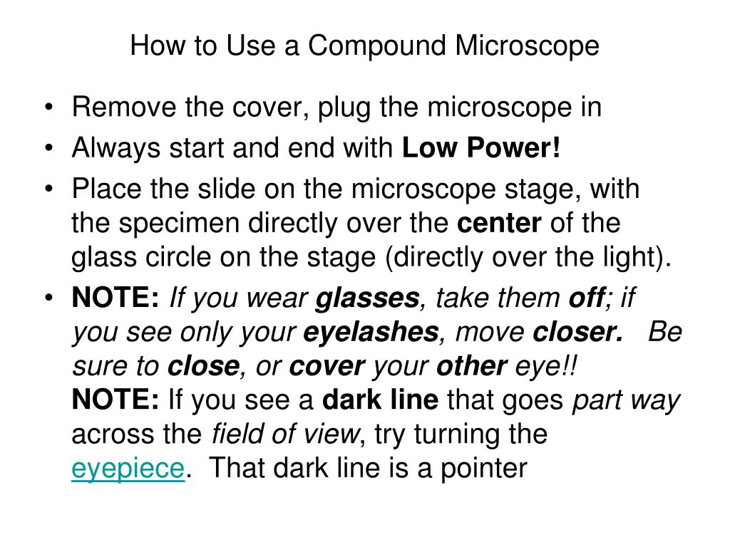 PPT - LECTURE 3 PowerPoint Presentation, free download - ID:4206627