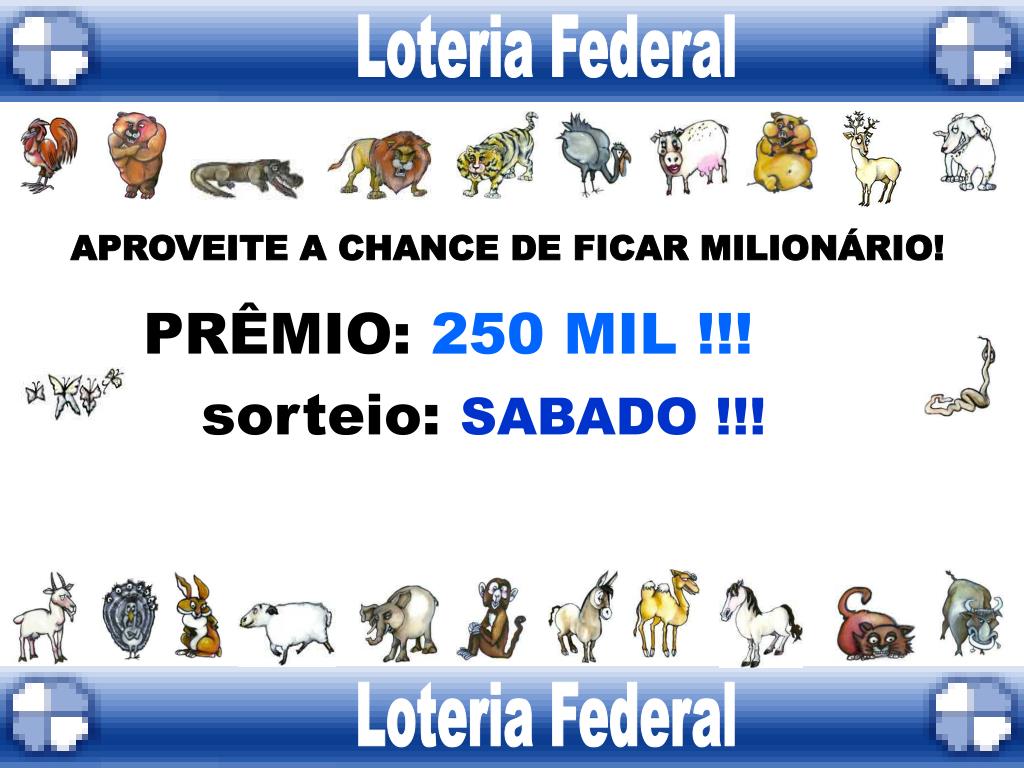 PPT - LOTÉRICA MEIA MEIA PowerPoint Presentation, free download - ID:4212375