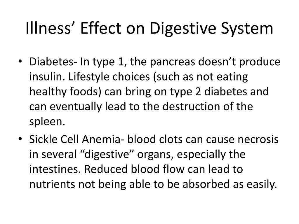 does the large intestine absorb water does the large intestine absorb water