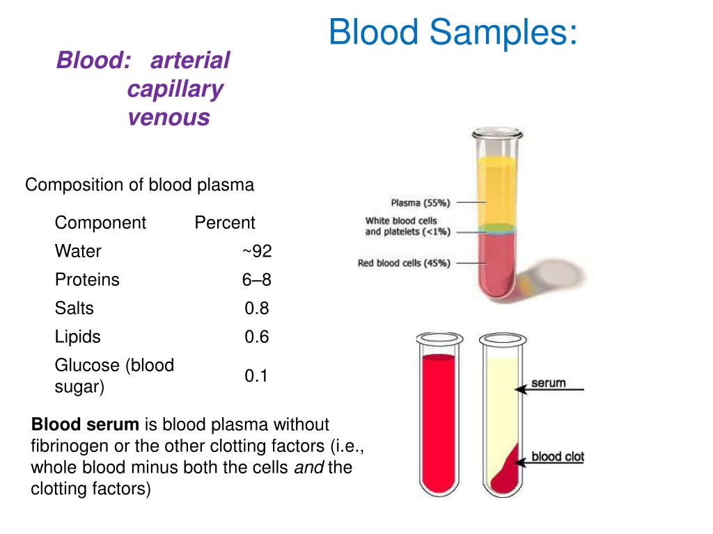 Вода в сыворотке крови. Blood Composition. Blood Serum. Blood Plasma. Blood Plasma Composition.