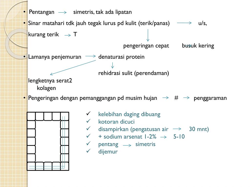 PPT - PENGAWETAN KULIT PowerPoint Presentation, free ...