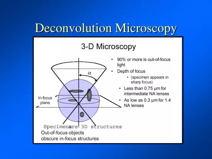 ppt deconvolution microscopy powerpoint presentation id deconvolution microscopy