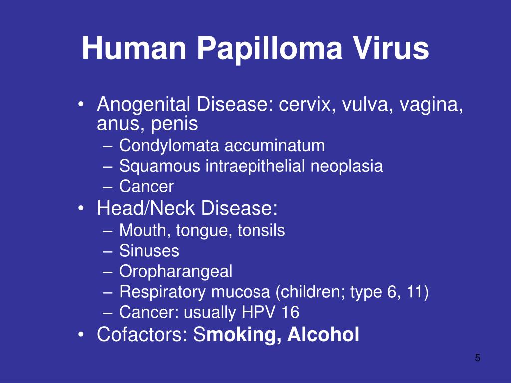Human papilloma virus hrvatski. Virus papiloma humano patogenia - parcareotopeni24.ro
