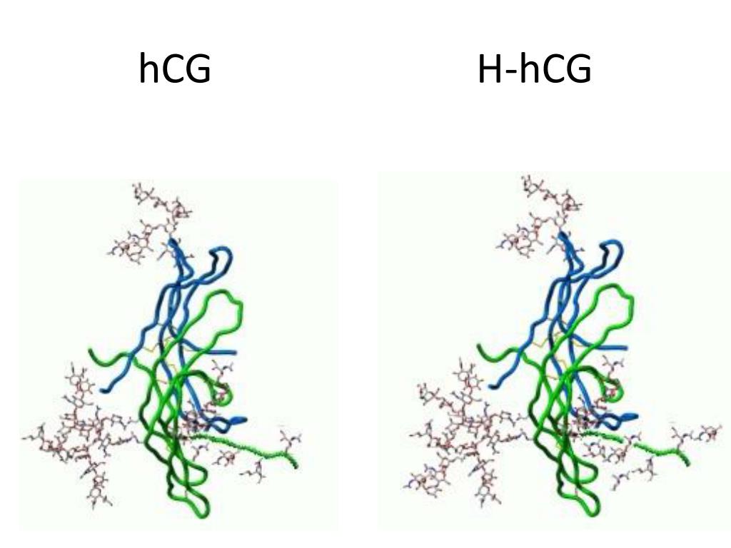 PPT - Biocheminiai chromosominių ligų ir nervinio vamzdelio defektų ...