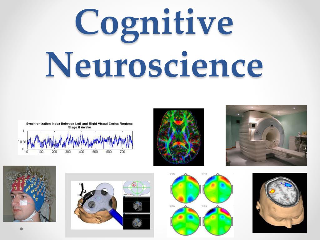 new research on cognitive neuroscience