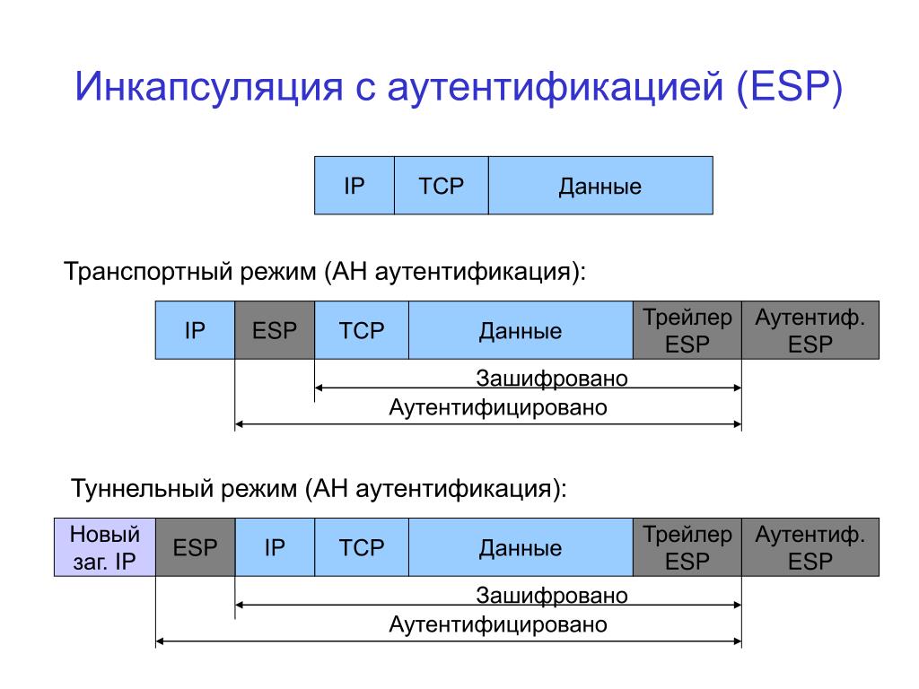 Транспортный режим. Инкапсуляция данных в сети TCP/IP. Инкапсуляция оси. Что такое VPN Инкапсуляция. Режим инкапсуляции.