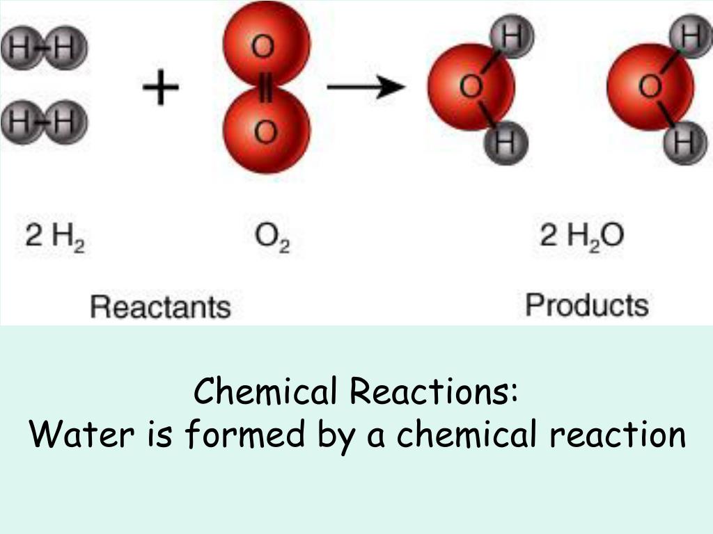 PPT The Chemical & Physical Basis of Life PowerPoint Presentation
