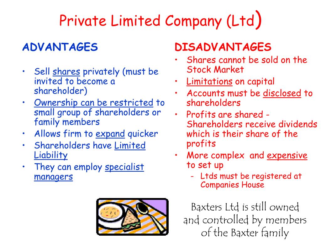 Advantages And Disadvantages Of Public Limited Companies