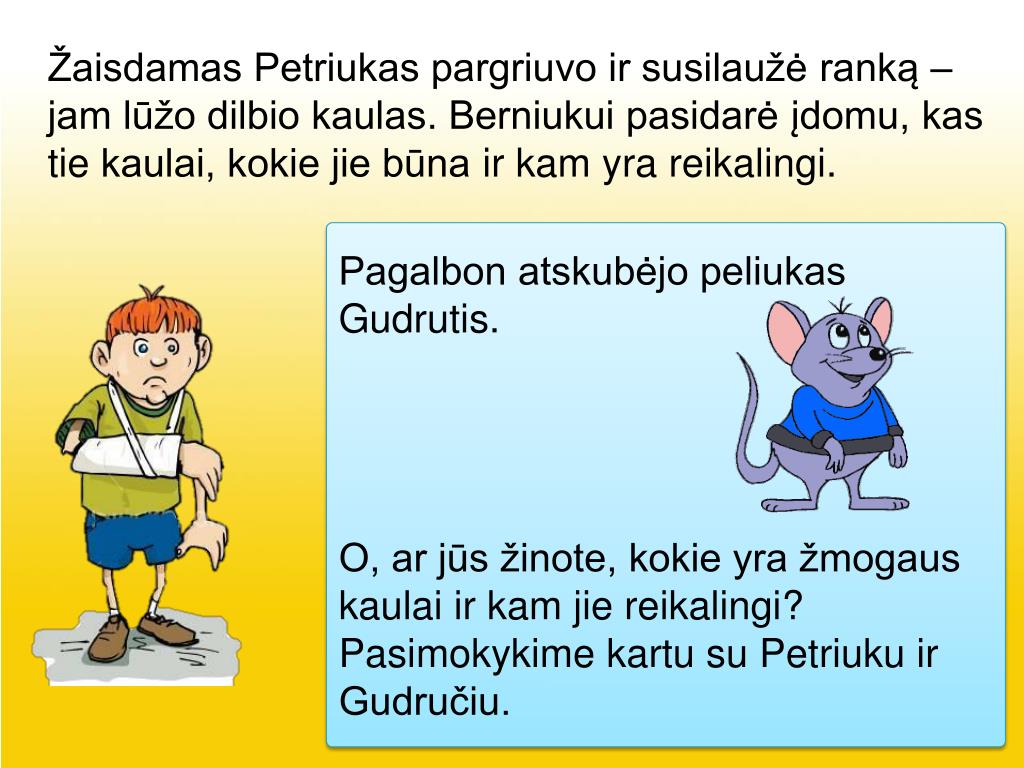 PPT - Žmogaus griaučiai PowerPoint Presentation, free download - ID:4224682