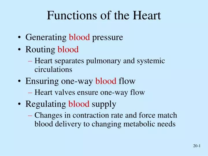 PPT - Functions of the Heart PowerPoint Presentation, free ...