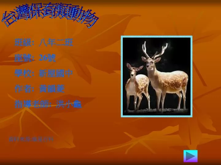 Ppt 台灣保育類動物powerpoint Presentation Free Download Id