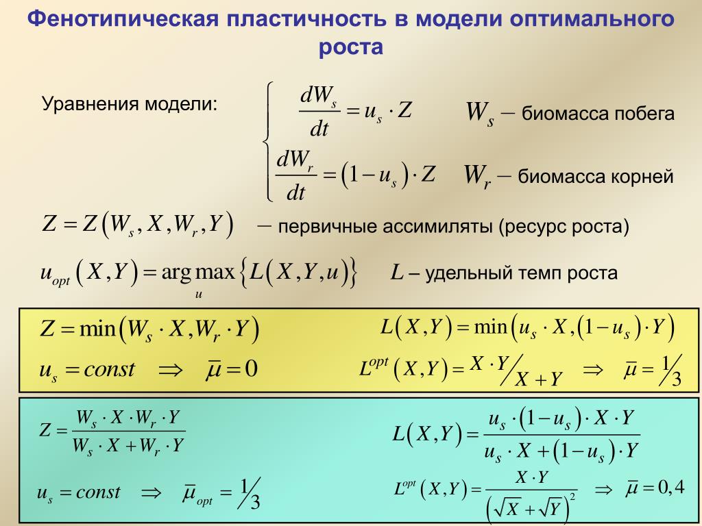 Уравнение модели