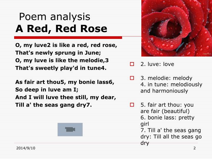 Red Red Rose Robert Burns Summary