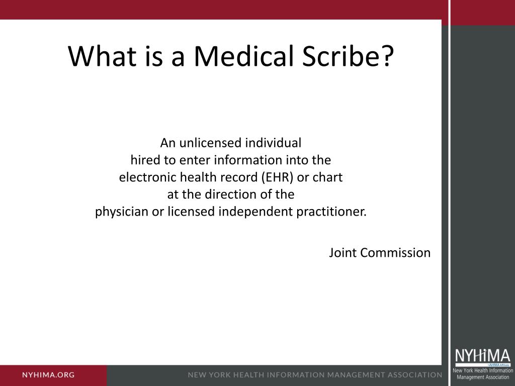 medical scribe description