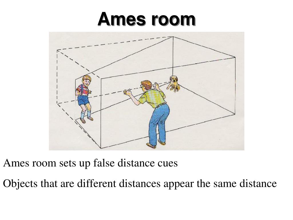 Окно Эймса чертеж. Комната Эймса. Схема построения комнаты Эймса. Комната Эймса схема точная.